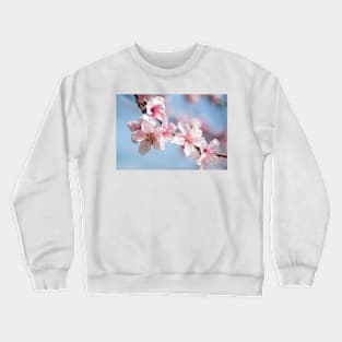 Cherry Blossom II Crewneck Sweatshirt